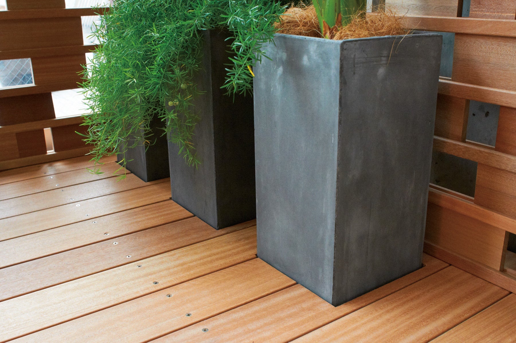 PLANTER & Green