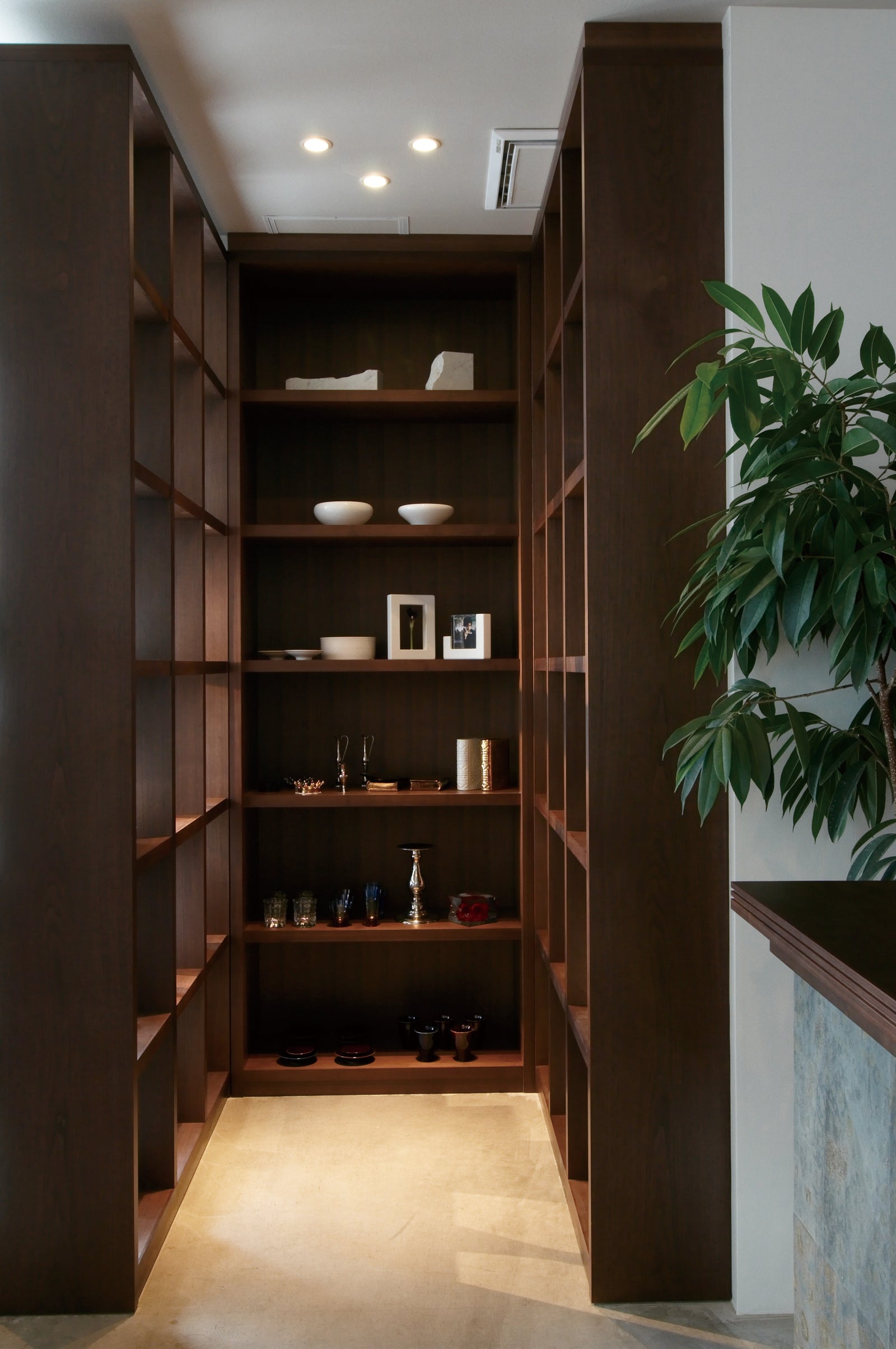 Entry / Foyer