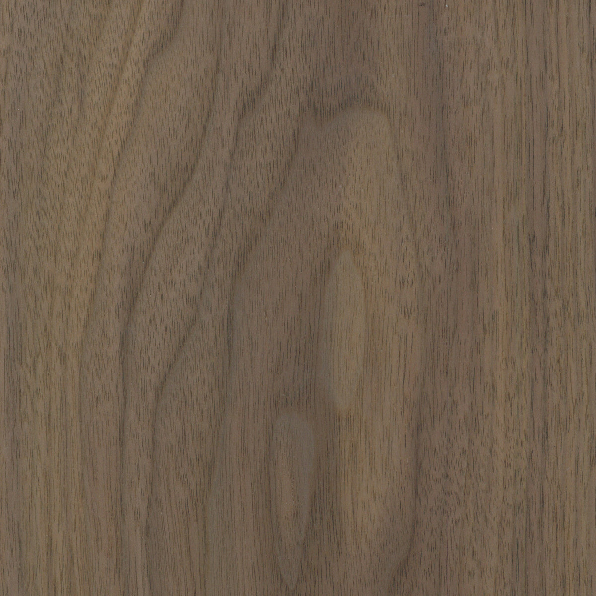 Black Walnut (WN)