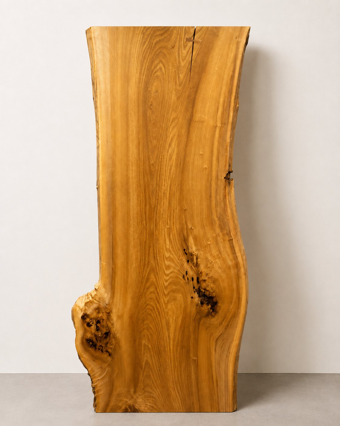 Live Edge Slab – Live Edge Slab – Nire / Orme japonais (No.2)